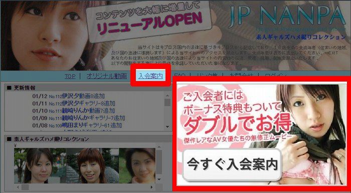 JP NANPA,入会,安全,検証,比較,JP NANPA 安全